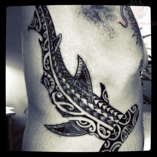 Hammerhead Shark Tattoo On Men Side Rib